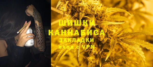 прущие грибы Новокубанск