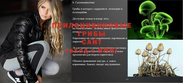 дмт Верея