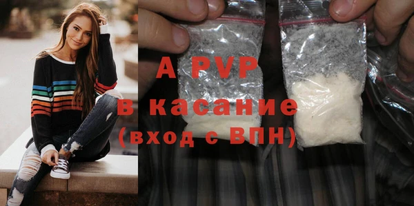прущие грибы Новокубанск