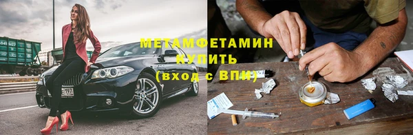 прущие грибы Новокубанск