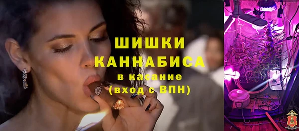 прущие грибы Новокубанск